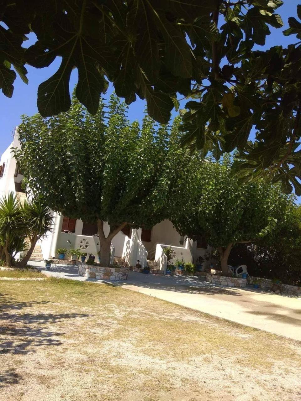 Athena'S Houses Skyros Exterior photo