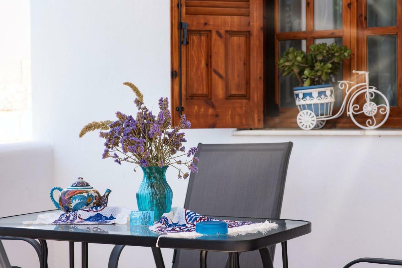 Athena'S Houses Skyros Exterior photo
